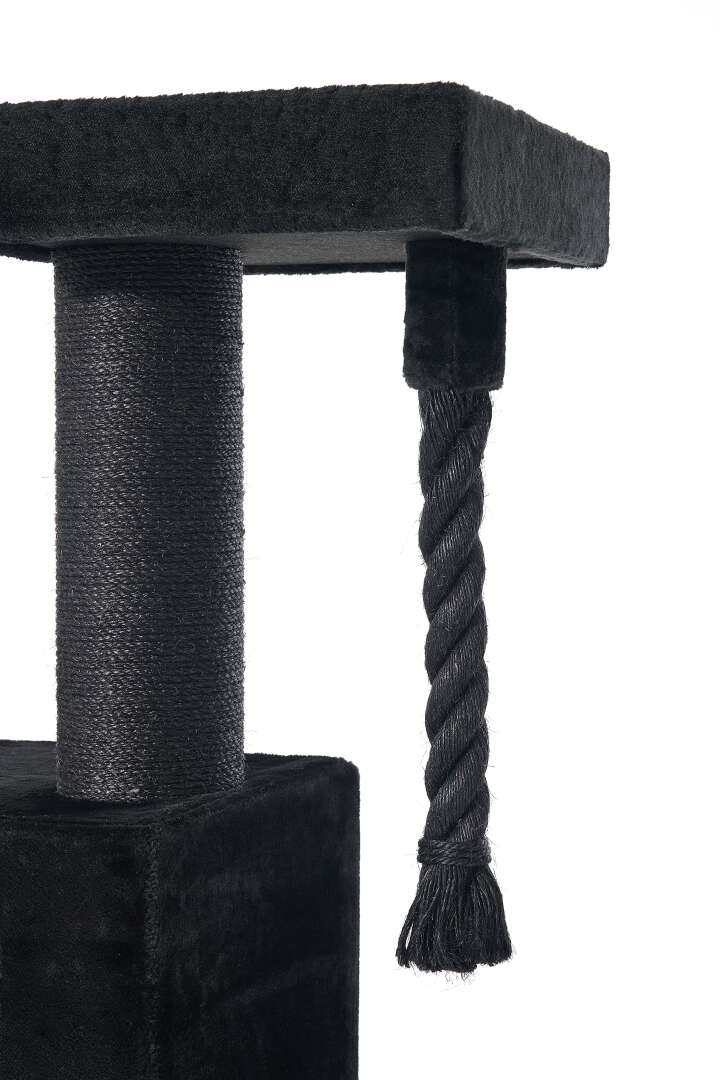 Nobby Kratzbaum Yoan